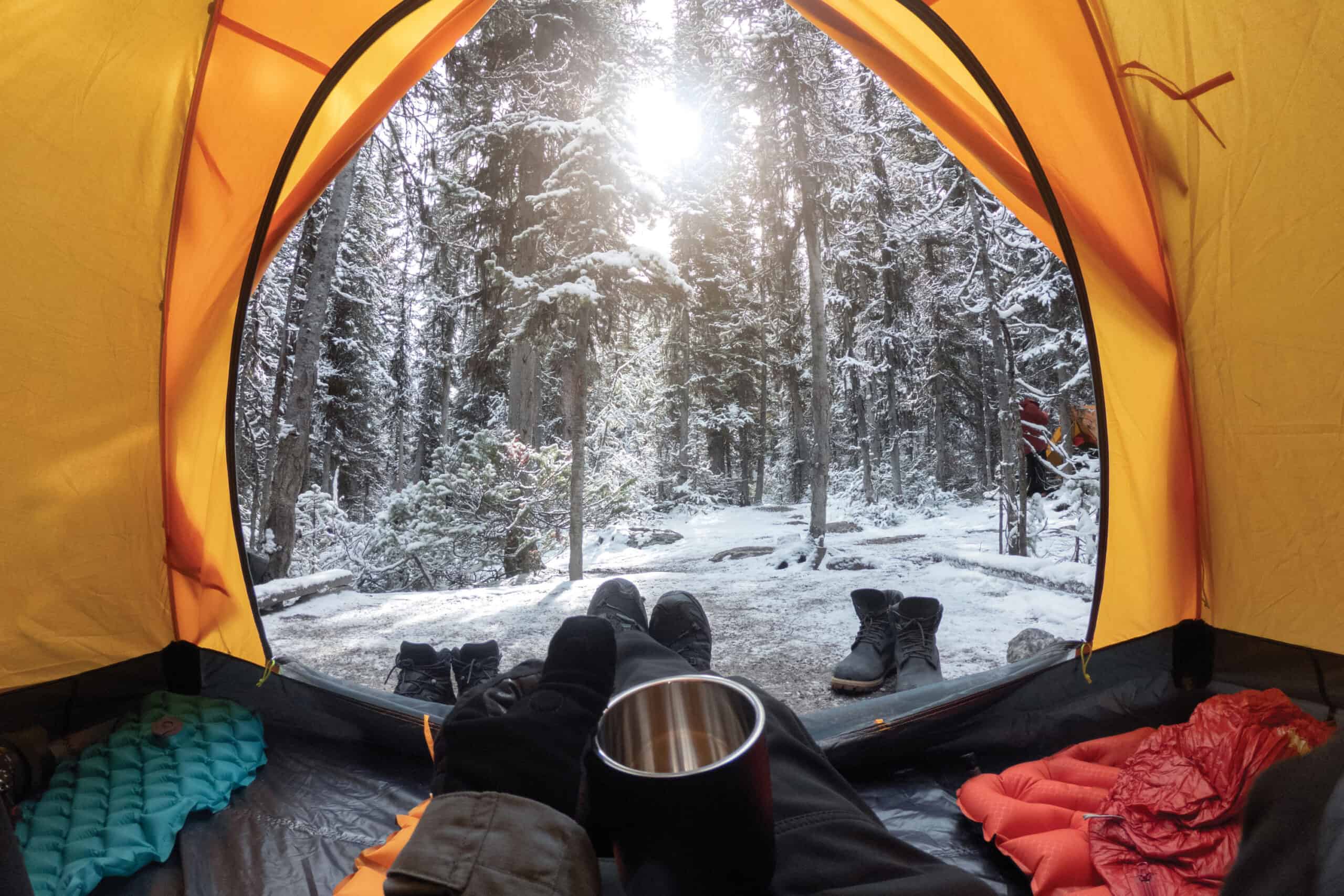 Snowy forest landscape viewed from inside a camping tent, winter survival gear setup.