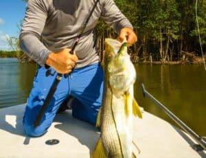 Large fish caught while kayaking in river with fishing gear in outdoor environment.